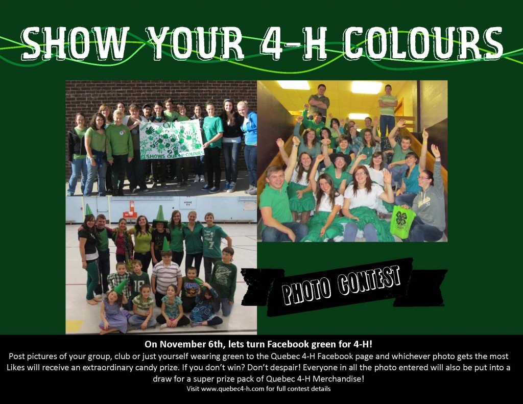 Show your 4-H Colours photo contest