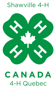 shawville logo